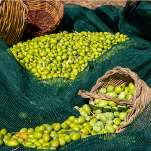 Olio Extravergine di oliva 1l